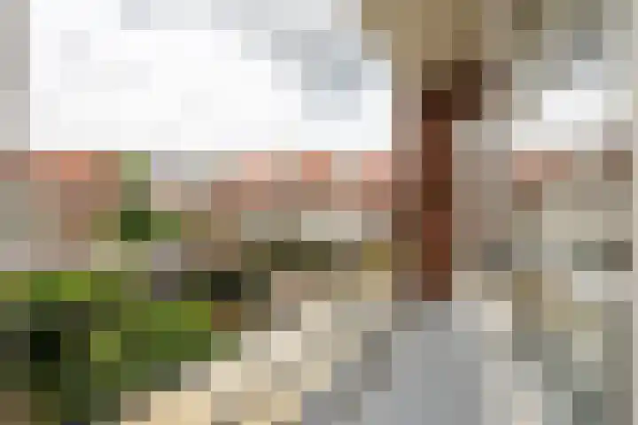 Populierstraat 24 Duivendrecht thumbnail 11