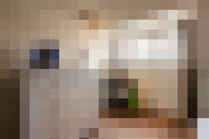 Populierstraat 24 Duivendrecht thumbnail 28