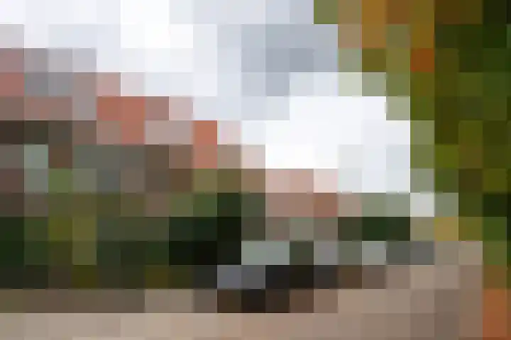 Populierstraat 24 Duivendrecht thumbnail 33