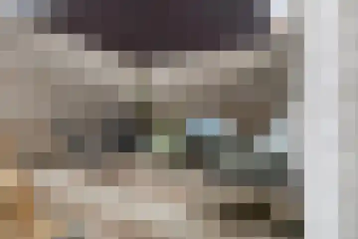 Populierstraat 26 Breda thumbnail 35