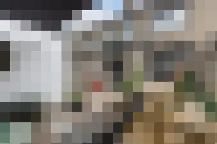 Populierstraat 26 Breda thumbnail 36