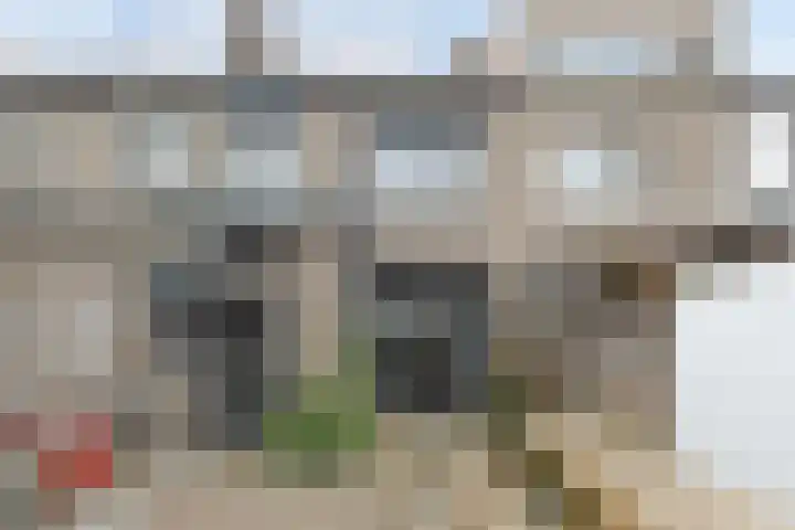 Populierstraat 26 Breda thumbnail 5