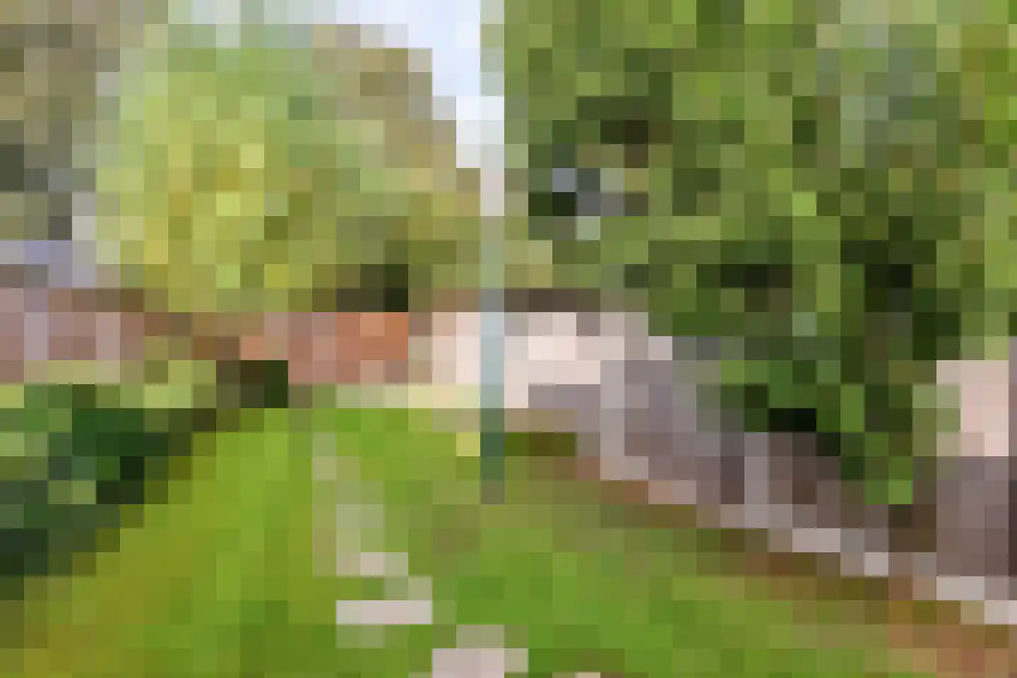 Populierstraat 27 Oldenzaal thumbnail 25