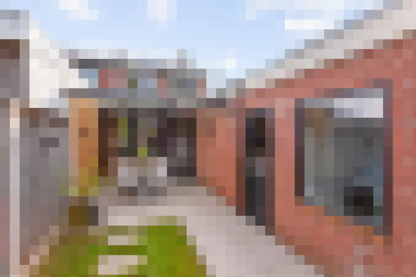 Populierstraat 27 Oldenzaal thumbnail 8