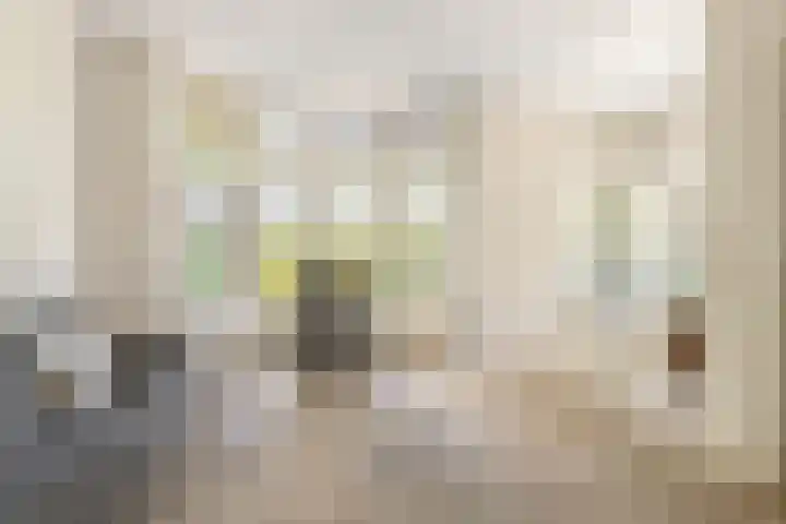 Populierstraat 29 Haarlem thumbnail 12