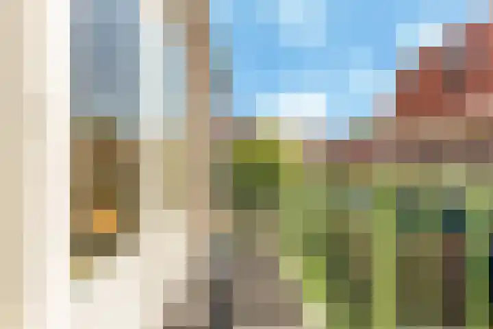 Populierstraat 29 Haarlem thumbnail 33