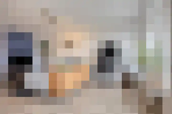 Populierstraat 3 Oss thumbnail 15
