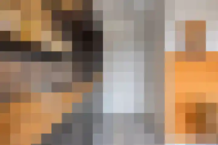 Populierstraat 3 Oss thumbnail 18
