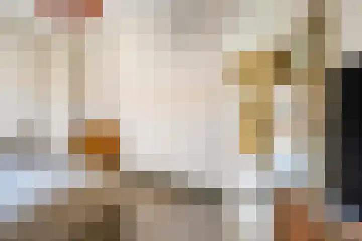 Populierstraat 31 Breda thumbnail 35