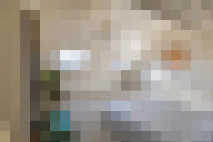 Populierstraat 31 Breda thumbnail 45