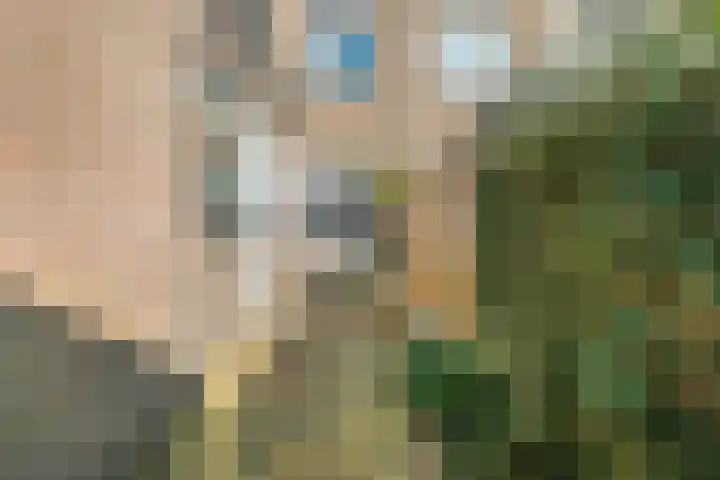 Populierstraat 31 Breda thumbnail 50