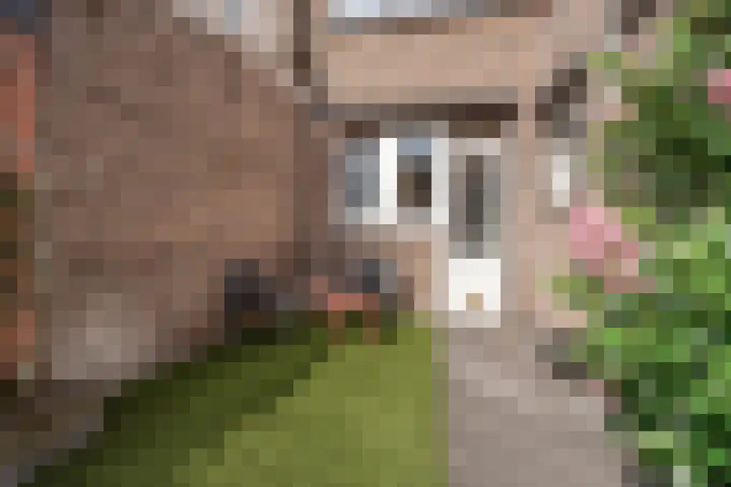 Populierstraat 35 Breda thumbnail 21