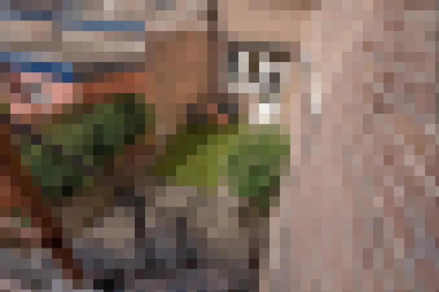 Populierstraat 35 Breda thumbnail 22