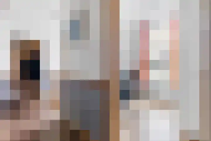 Populierstraat 4 Den Haag thumbnail 13