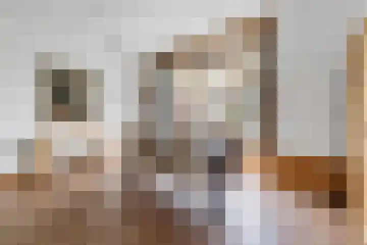 Populierstraat 4 Den Haag thumbnail 14