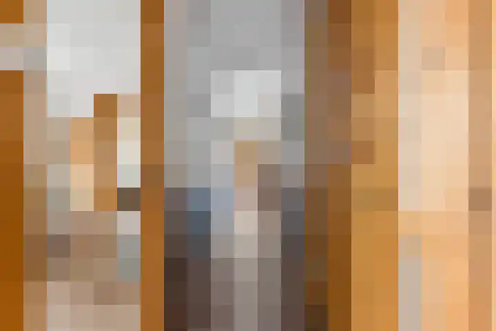 Populierstraat 4 Den Haag thumbnail 15