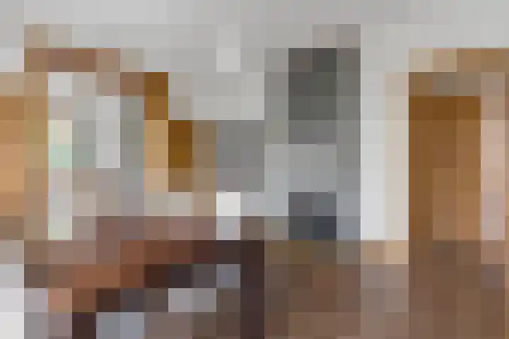 Populierstraat 4 Den Haag thumbnail 18