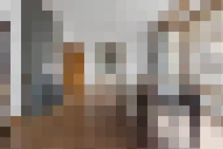 Populierstraat 4 Den Haag thumbnail 20