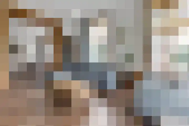Populierstraat 4 Den Haag thumbnail 26