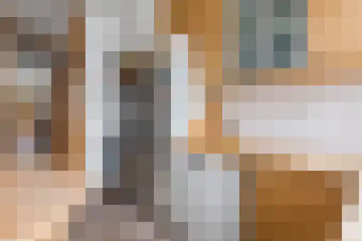 Populierstraat 4 Den Haag thumbnail 32