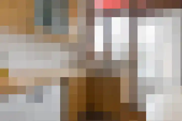 Populierstraat 4 Den Haag thumbnail 34