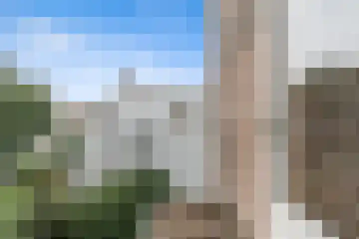 Populierstraat 4 Den Haag thumbnail 36