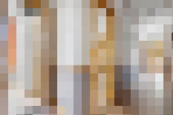 Populierstraat 4 Den Haag thumbnail 38