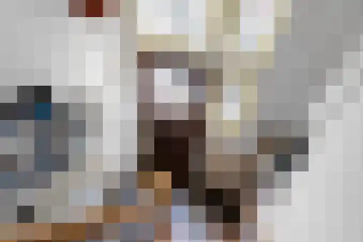 Populierstraat 4 Den Haag thumbnail 5