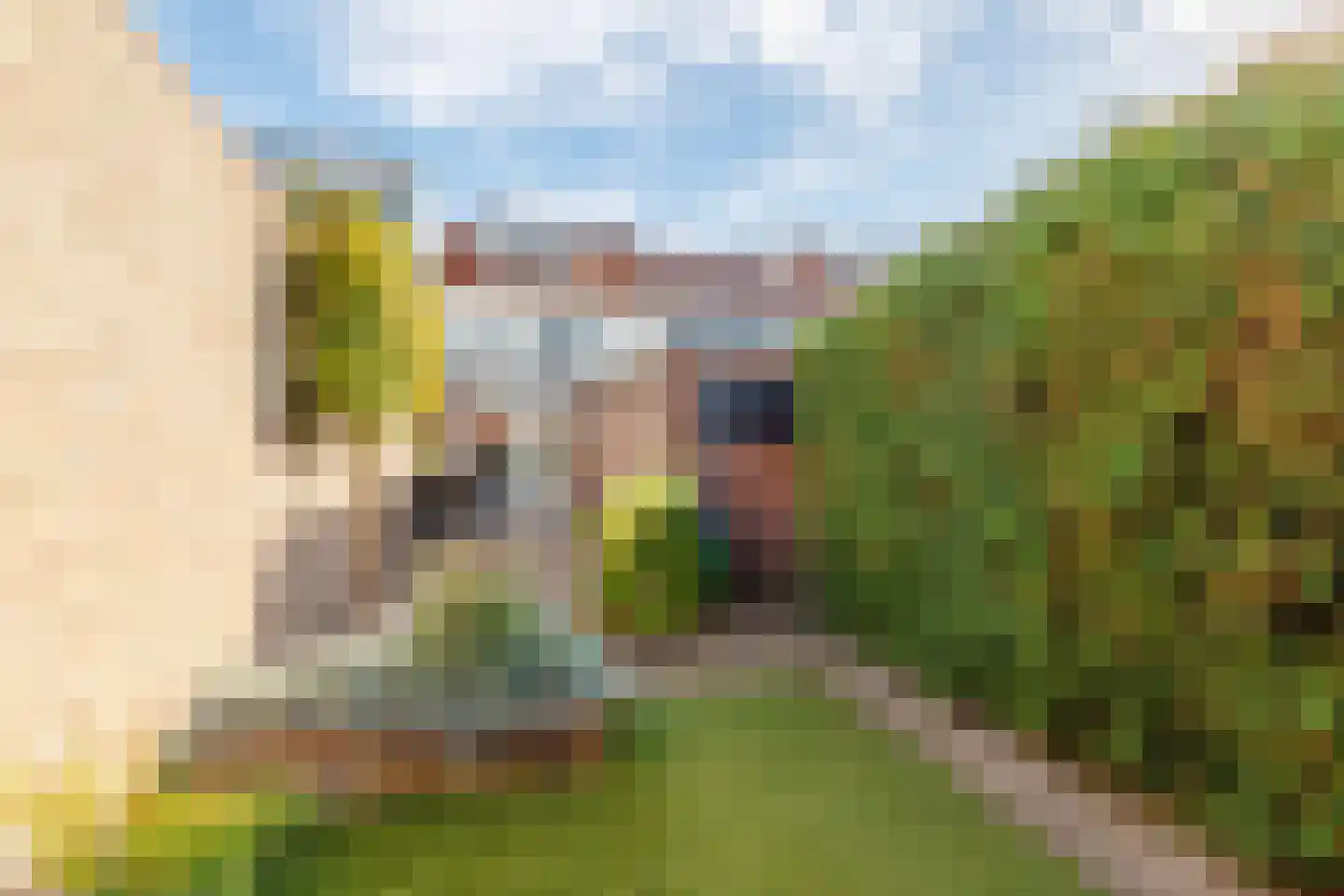 Populierstraat 51 Oldenzaal thumbnail 35