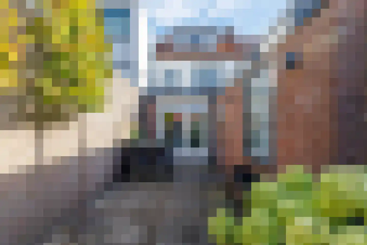 Populierstraat 51 Oldenzaal thumbnail 36