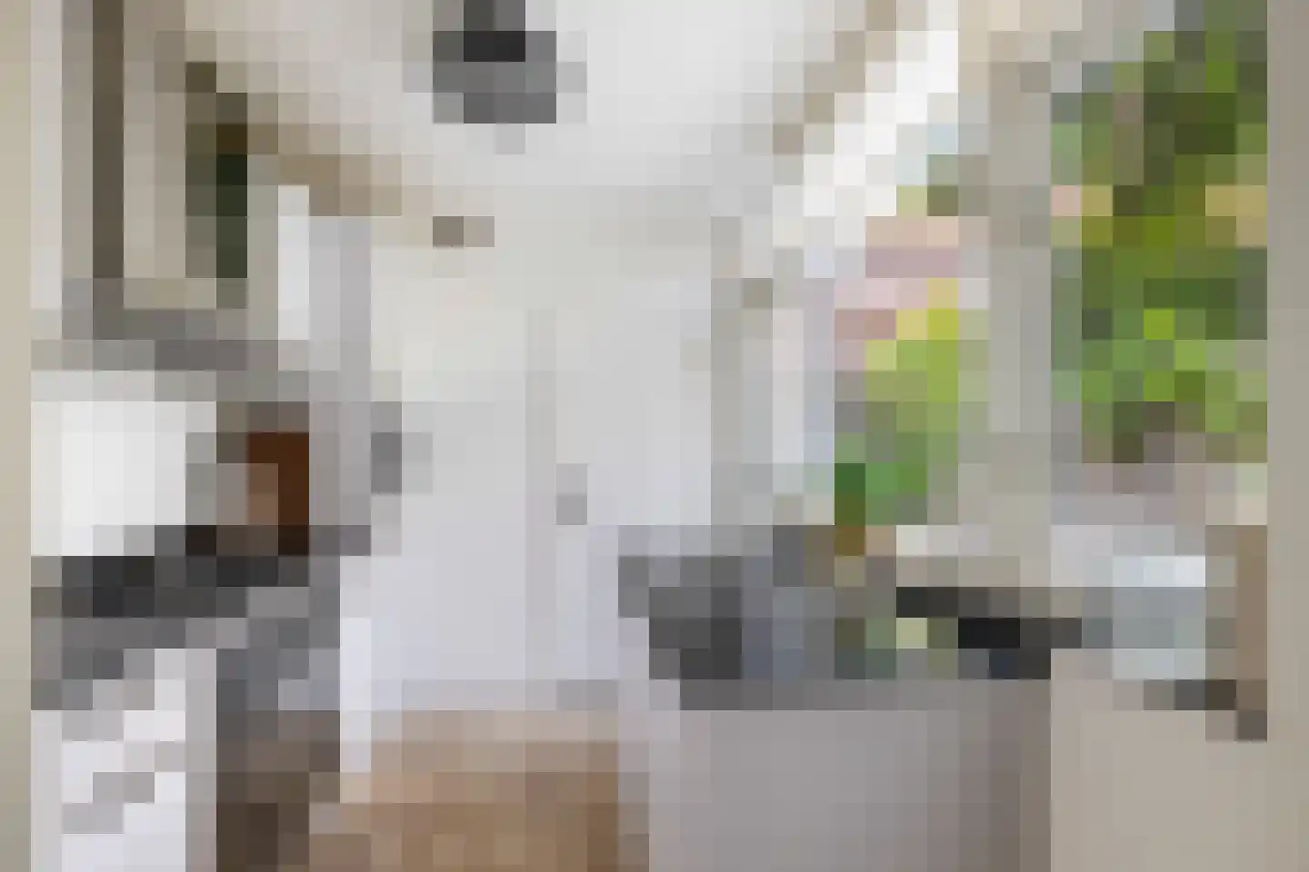 Populierstraat 6 Utrecht thumbnail 17