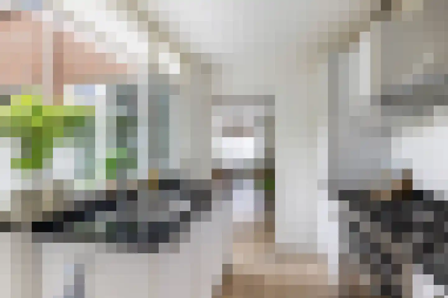 Populierstraat 6 Utrecht thumbnail 19