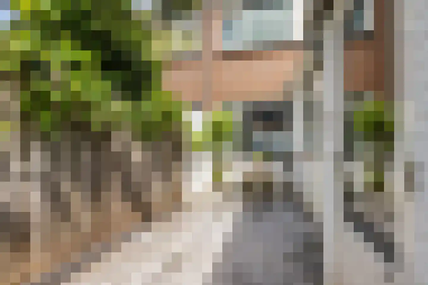 Populierstraat 6 Utrecht thumbnail 24