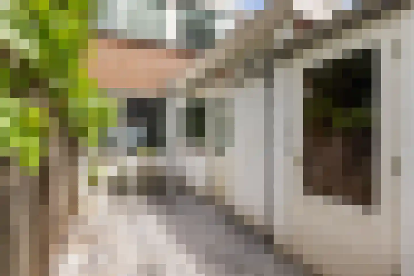 Populierstraat 6 Utrecht thumbnail 27