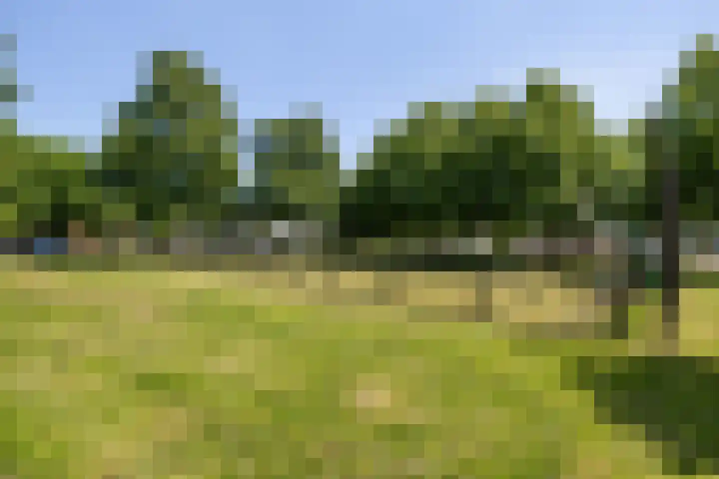 Populierstraat 6 Utrecht thumbnail 43
