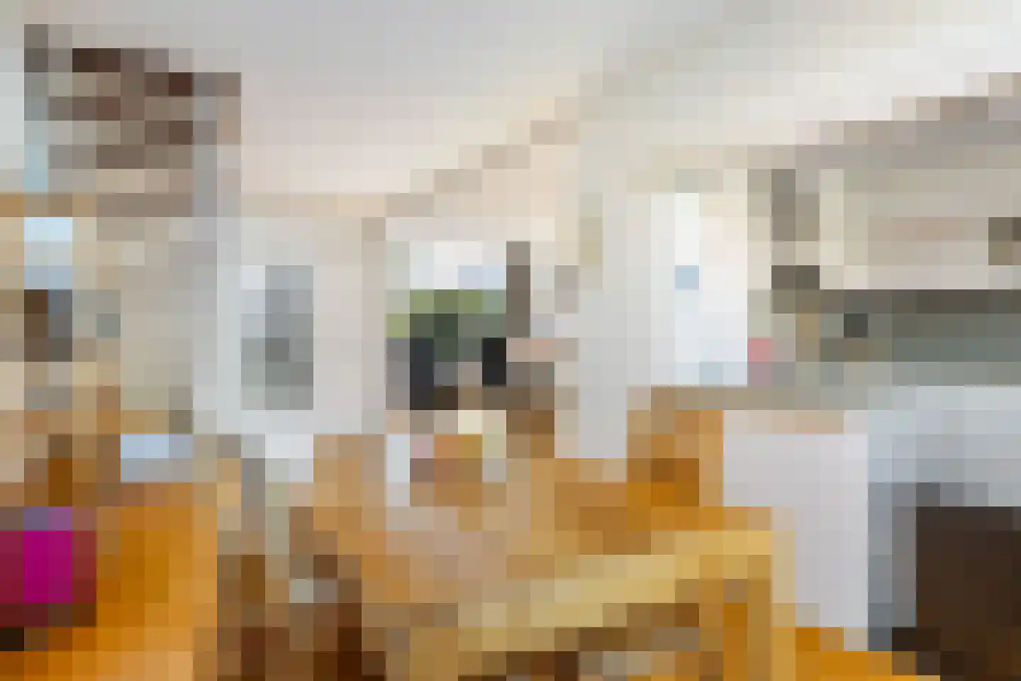 Populierstraat 6 Woerden thumbnail 14
