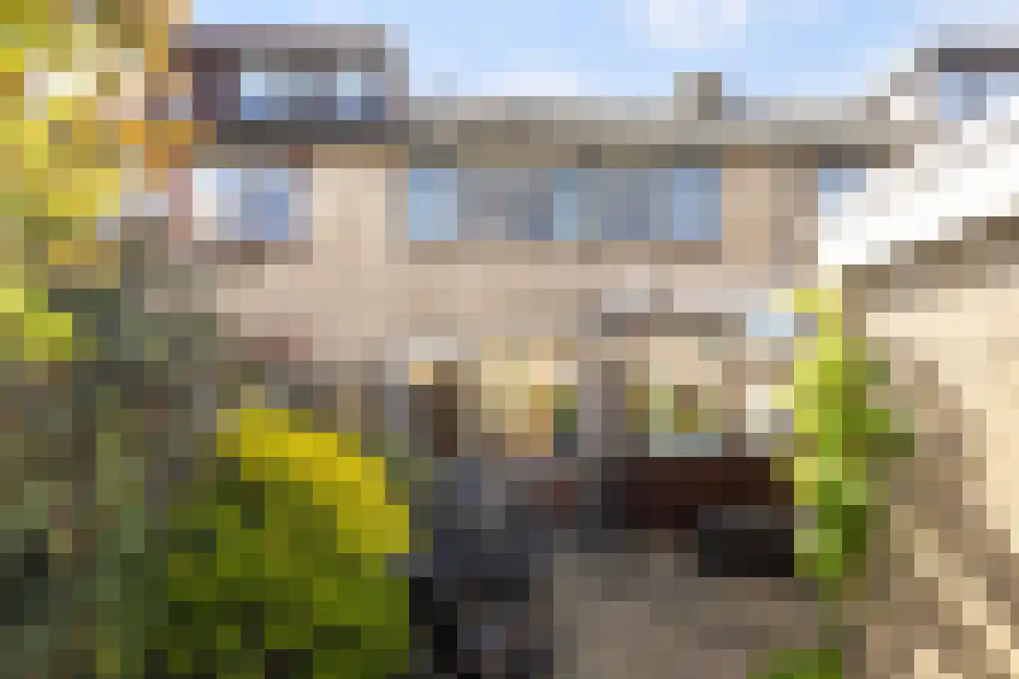 Populierstraat 6 Woerden thumbnail 21