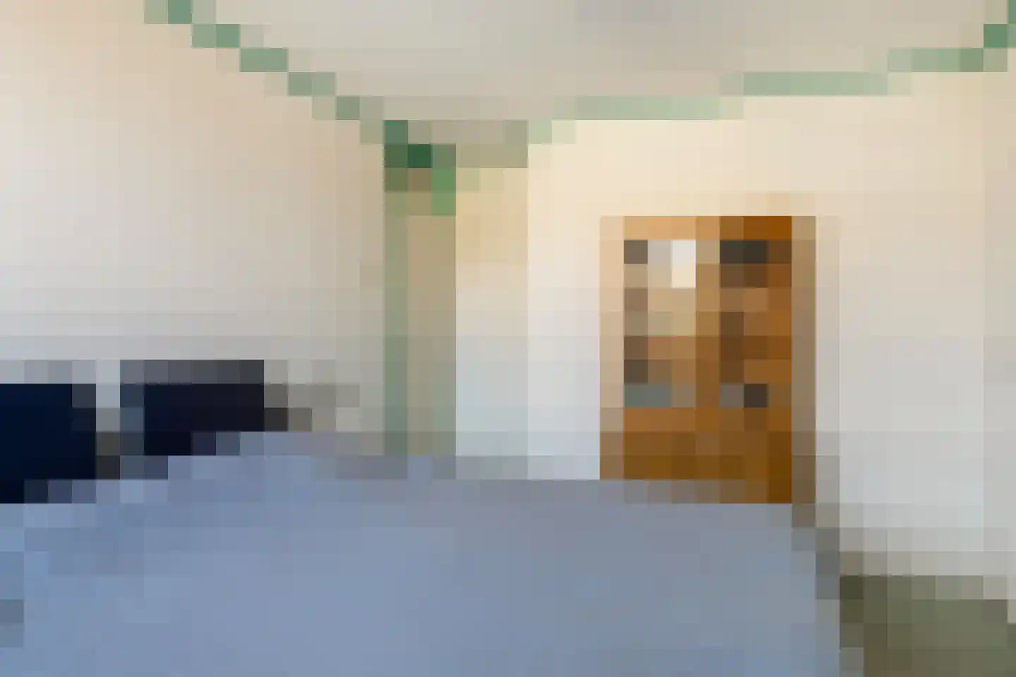 Populierstraat 6 Woerden thumbnail 24