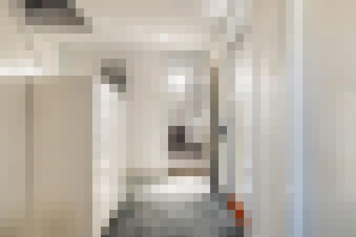 Populierstraat 6 Woerden thumbnail 27