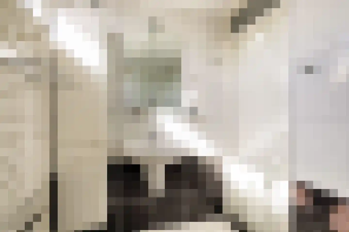 Populierstraat 6 Woerden thumbnail 30
