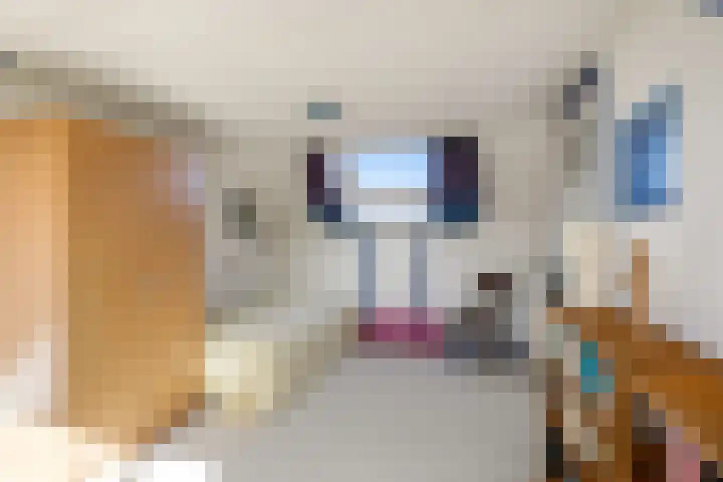 Populierstraat 6 Woerden thumbnail 36