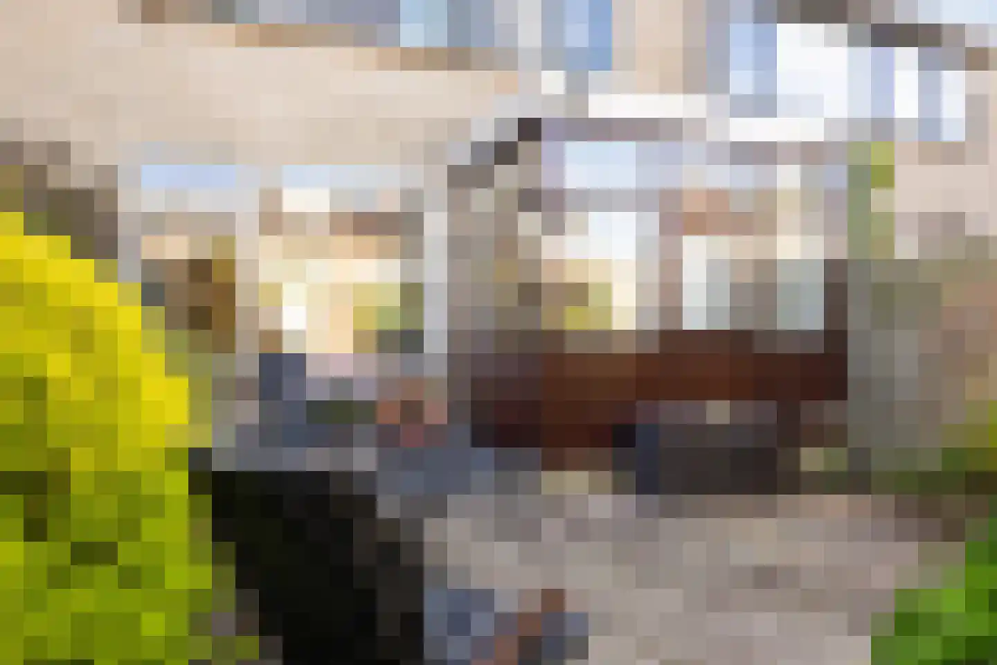 Populierstraat 6 Woerden thumbnail 4