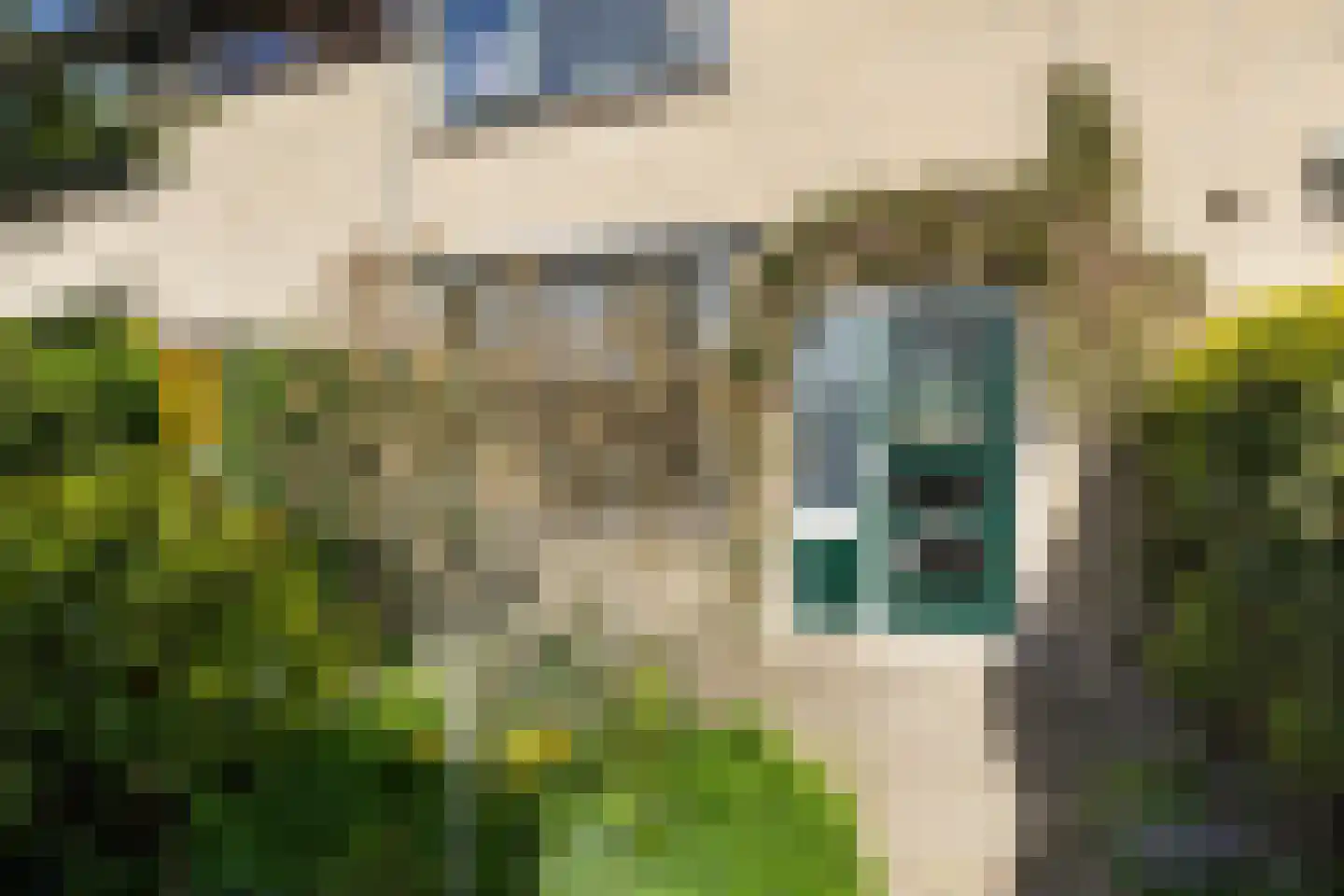 Populierstraat 6 Woerden thumbnail 5