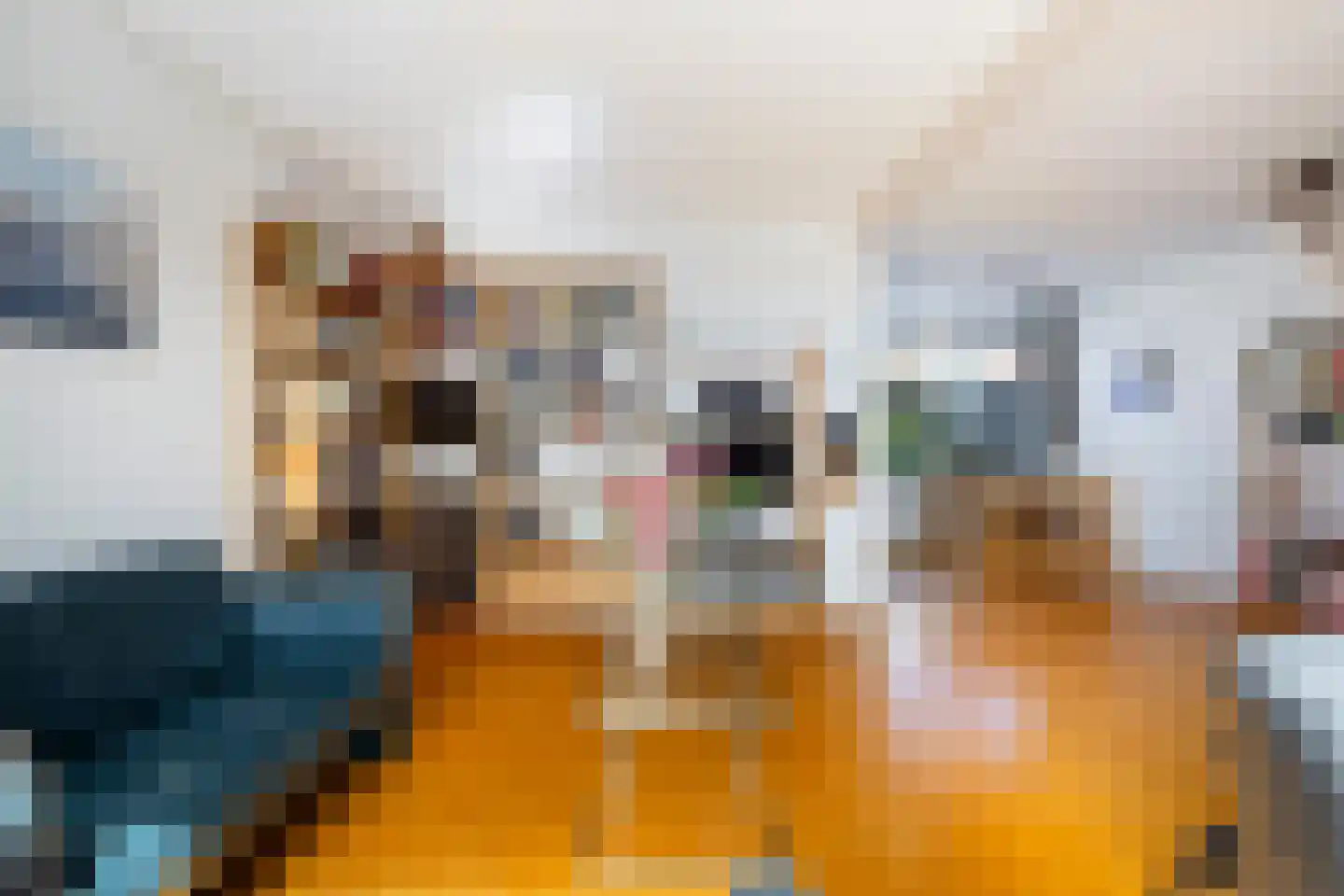 Populierstraat 6 Woerden thumbnail 6