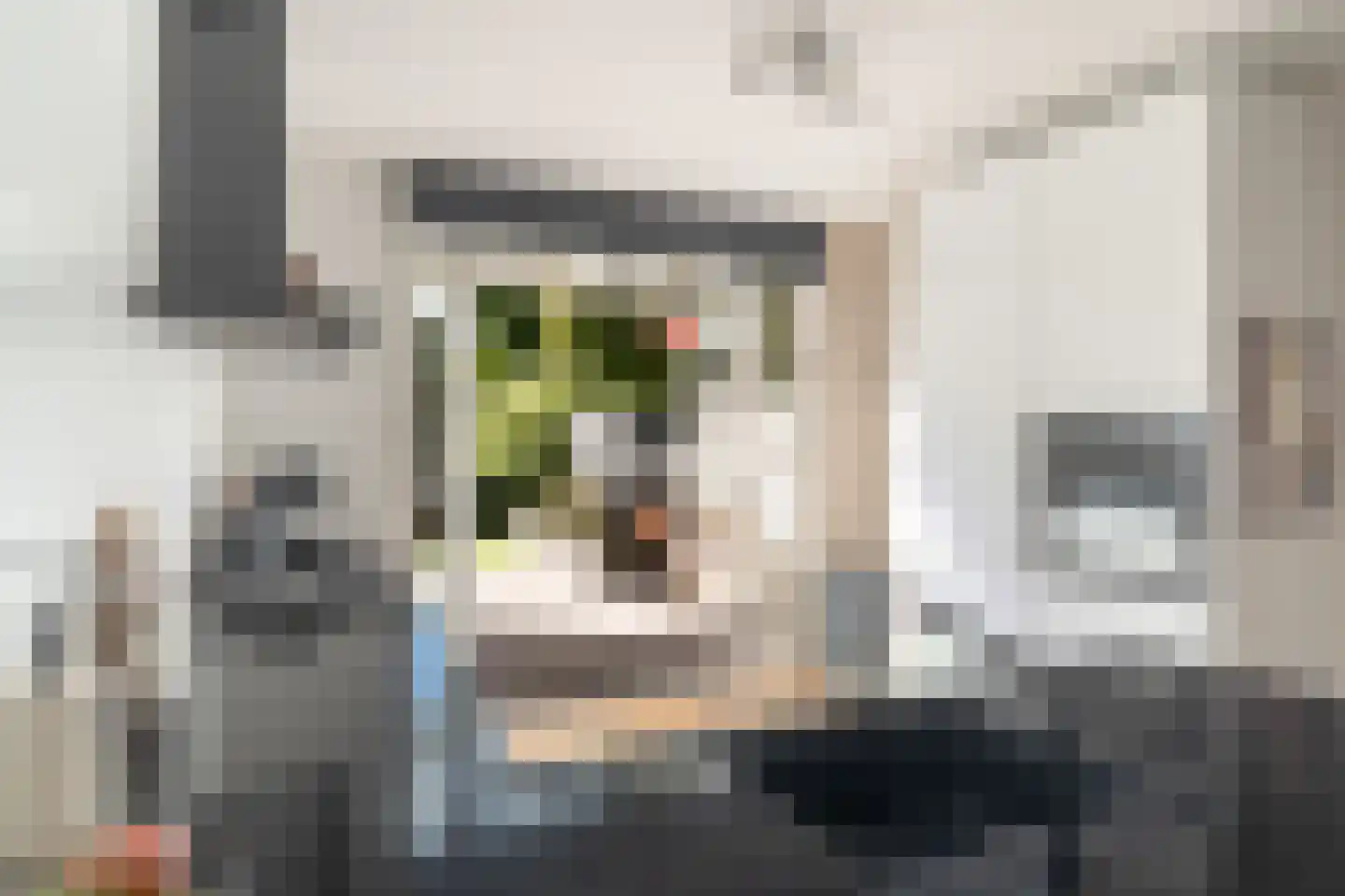 Populierstraat 88 Den Haag thumbnail 4