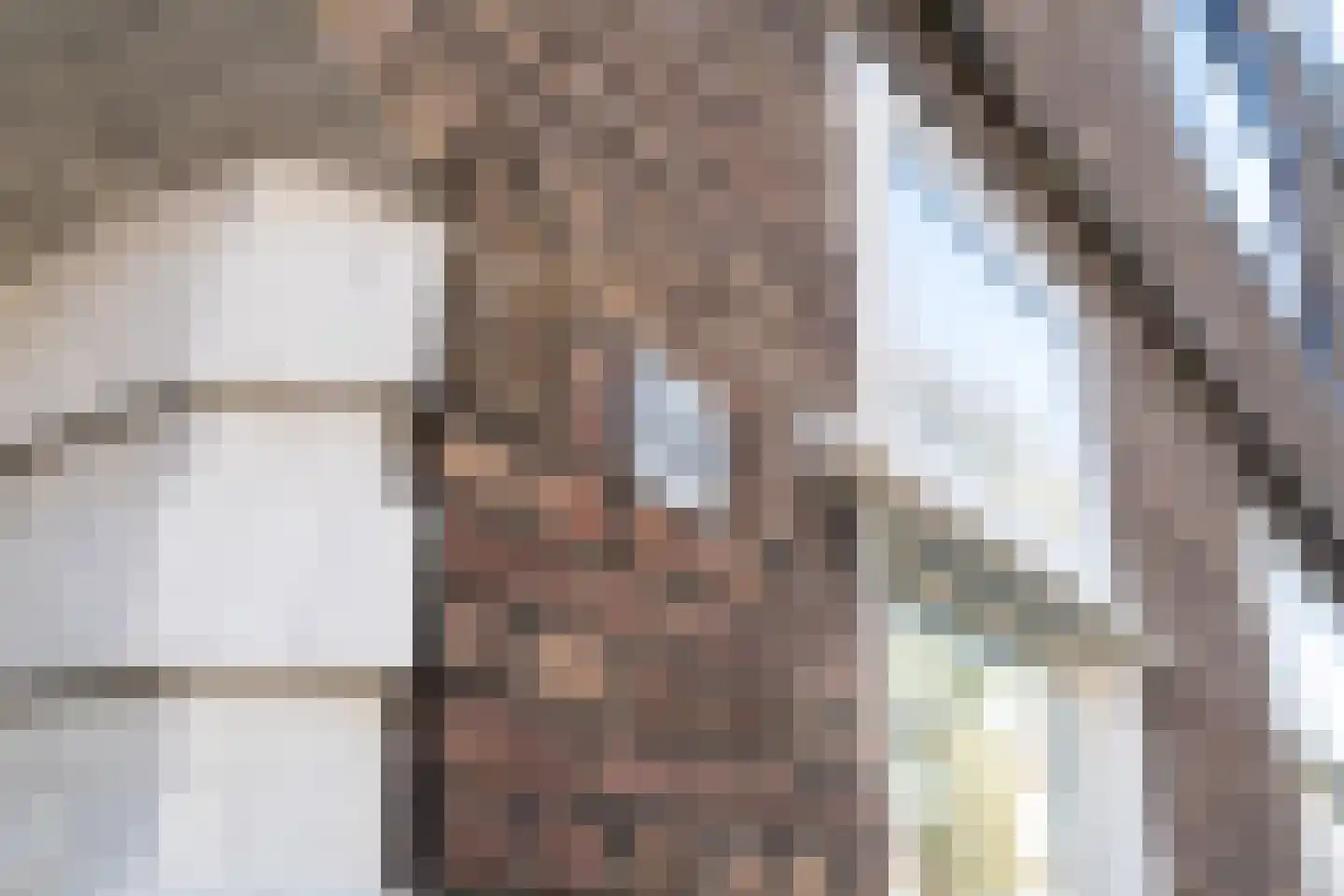 Populierstraat 88 Den Haag thumbnail 6
