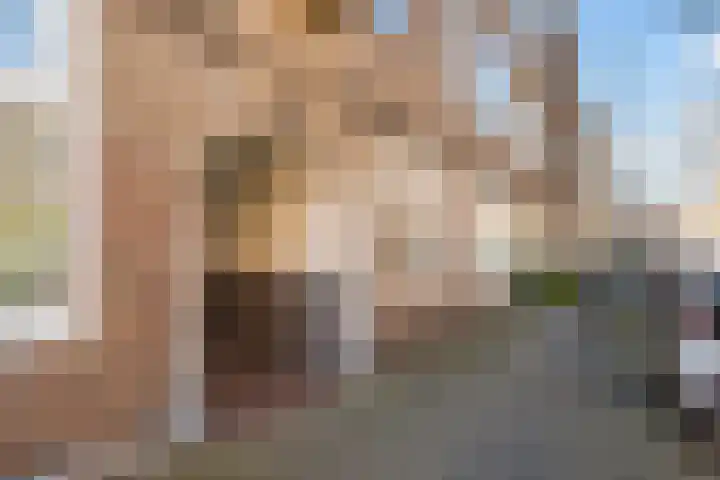 Populierstraat 88 Den Haag thumbnail 7