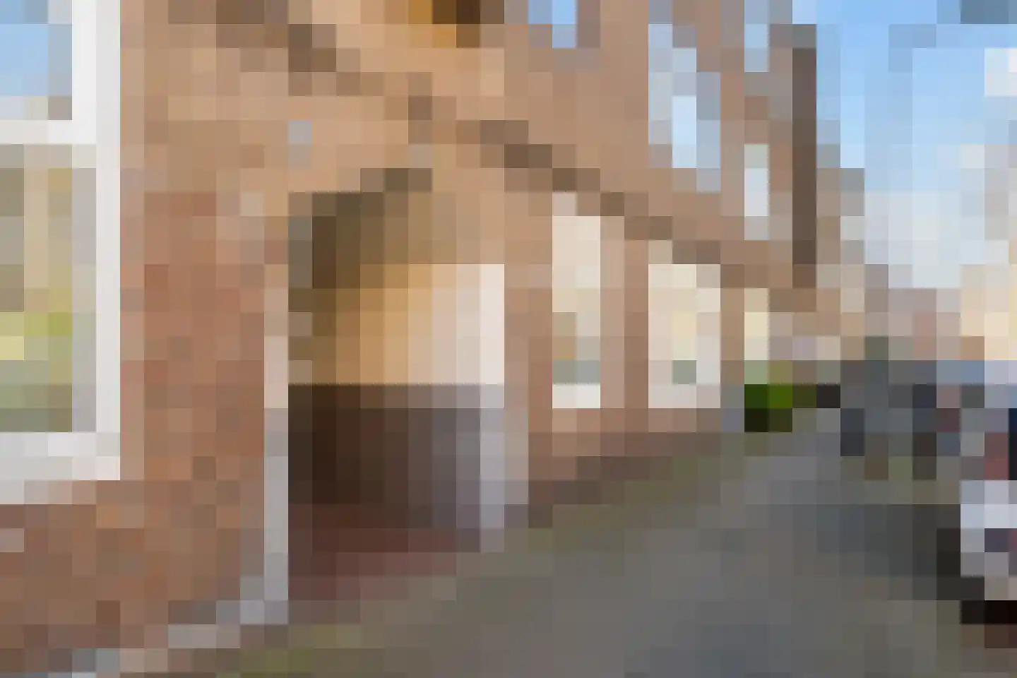 Populierstraat 88 Den Haag thumbnail 7