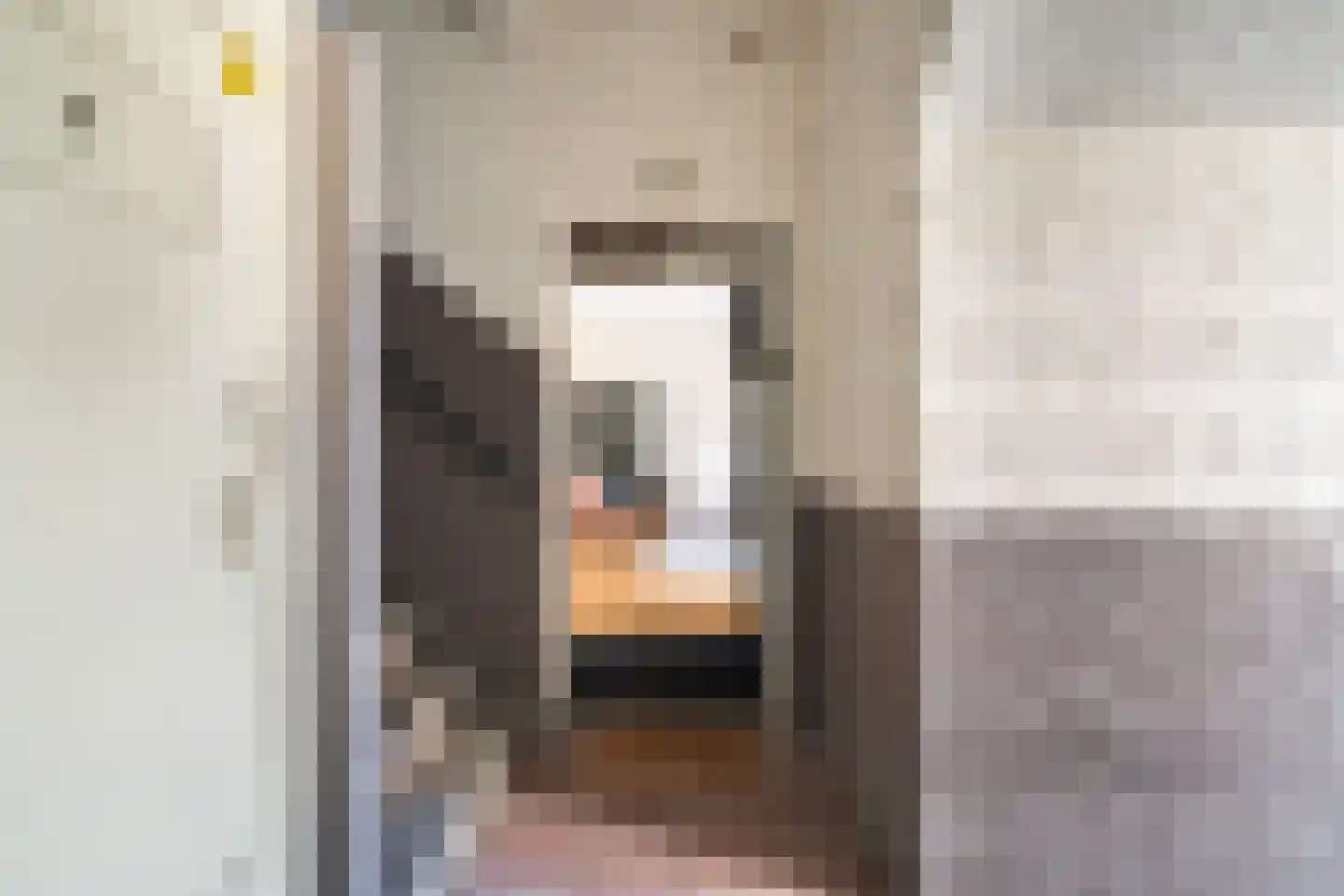 Populierstraat 88 Den Haag thumbnail 8