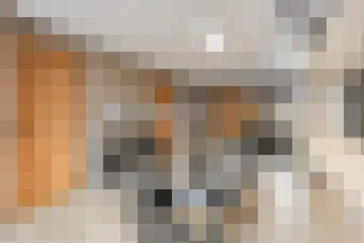 Populierweg 110 Maastricht thumbnail 14